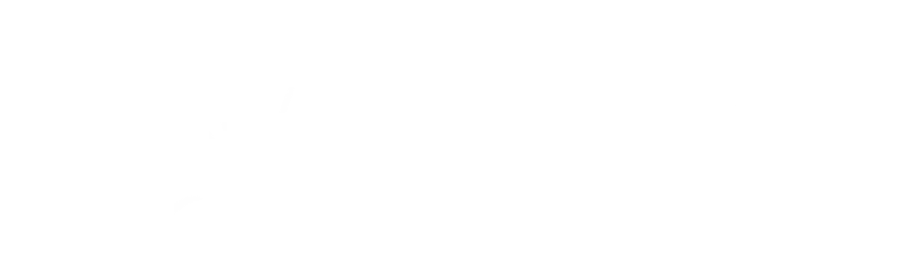 Montenegro Vibes