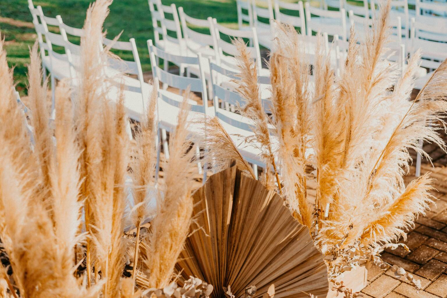 Beautiful outdoor wedding setup with white chairs and pampas grass decor under sunlight.